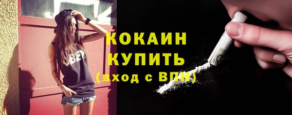 тгк Алзамай