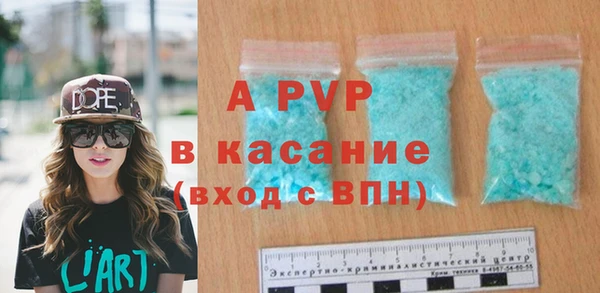 МДПВ Пересвет