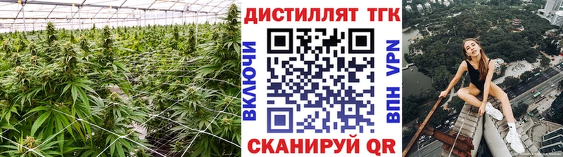 ТГК Wax  Анжеро-Судженск 