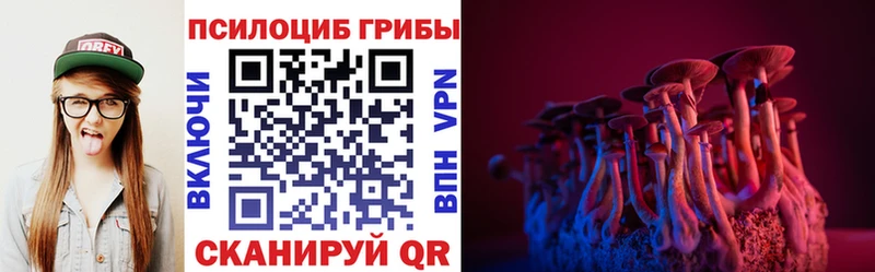 Галлюциногенные грибы Psilocybe  купить  сайты  Анжеро-Судженск 